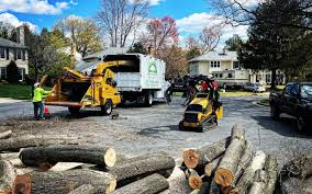 Best Commercial Tree Services  in , CA